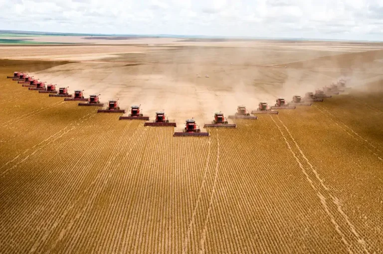 São Félix do Araguaia ocupa a 19ª posição no ranking das 100 cidades mais ricas do agro no Brasil