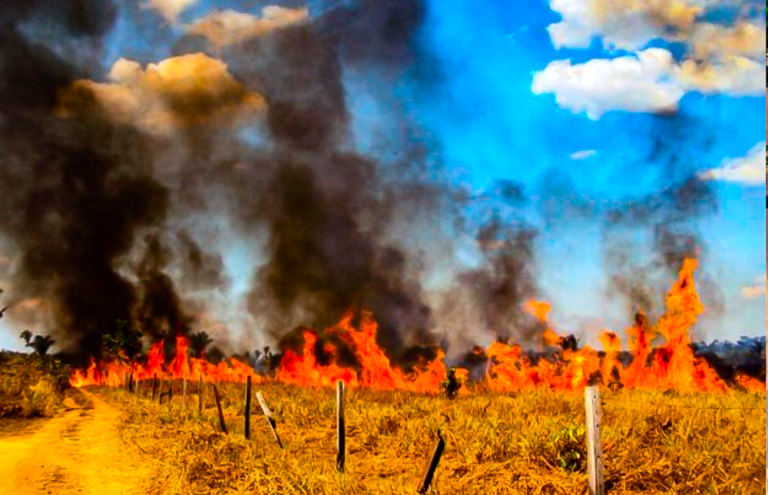 Prefeitura lança formulário para cadastrar apoio rural no combate a incêndios em São Félix do Araguaia