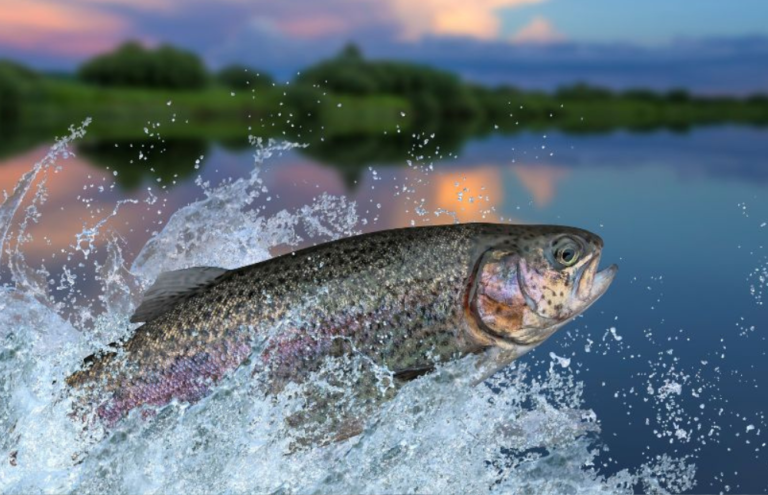 São Félix do Araguaia ganha destaque nacional como destino de pesca esportiva